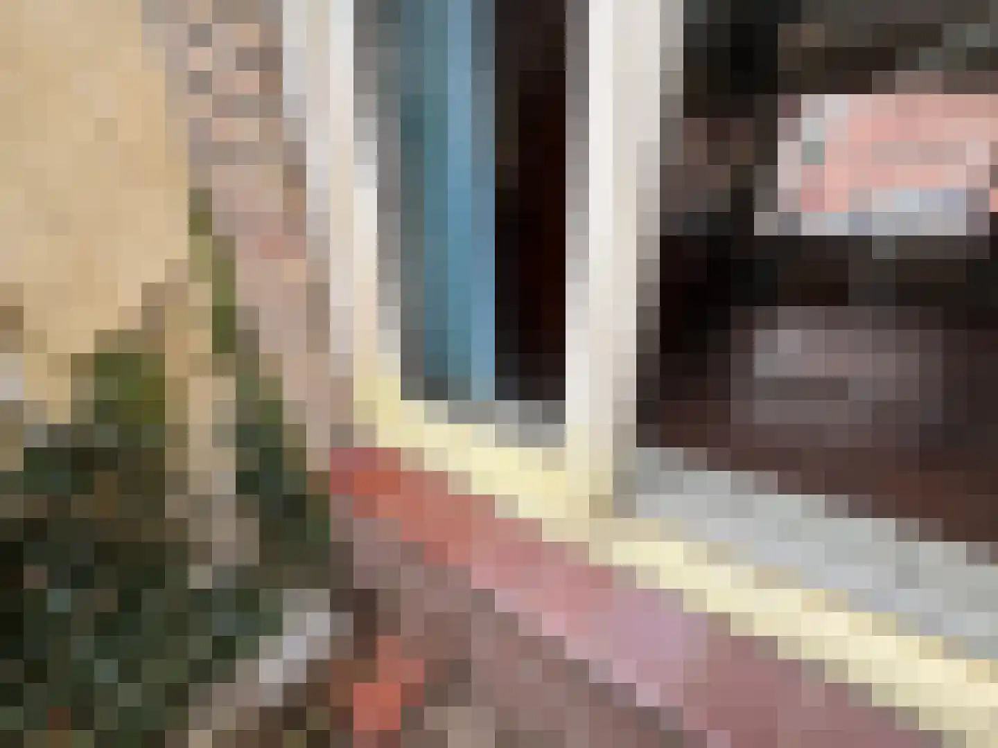 Gentsestraat 3 Biervliet thumbnail 13
