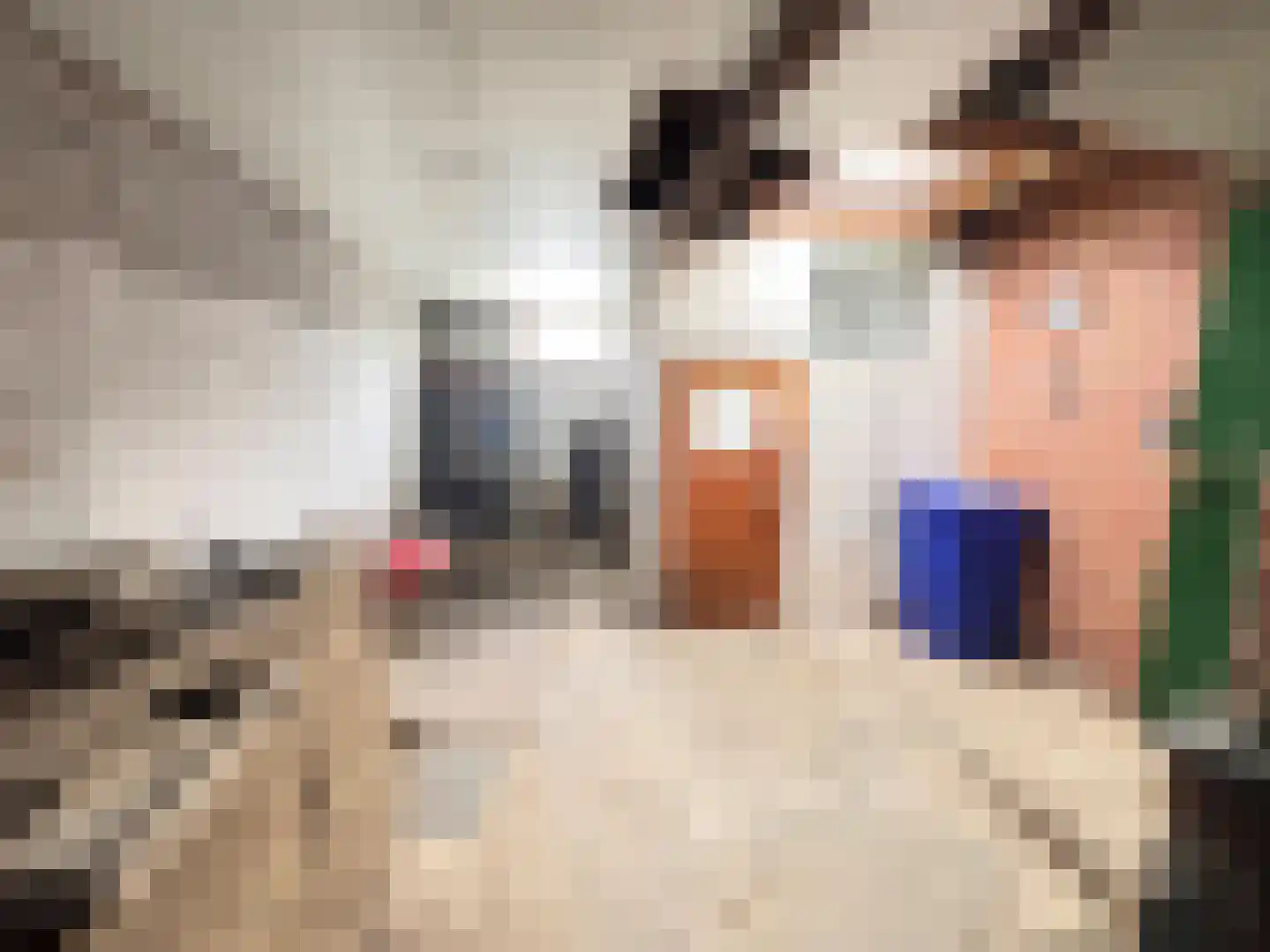 Gentsestraat 3 Biervliet thumbnail 16