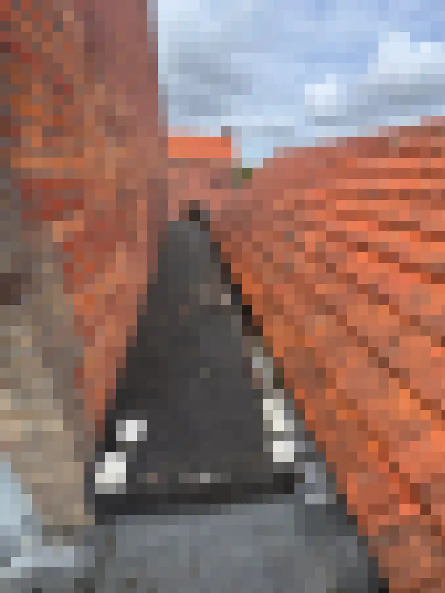 Gentsestraat 3 Biervliet thumbnail 18