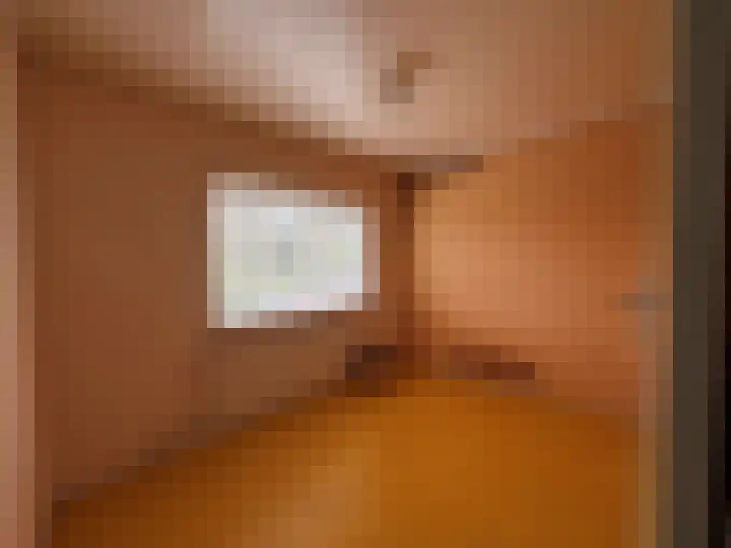 Gentsestraat 3 Biervliet thumbnail 19