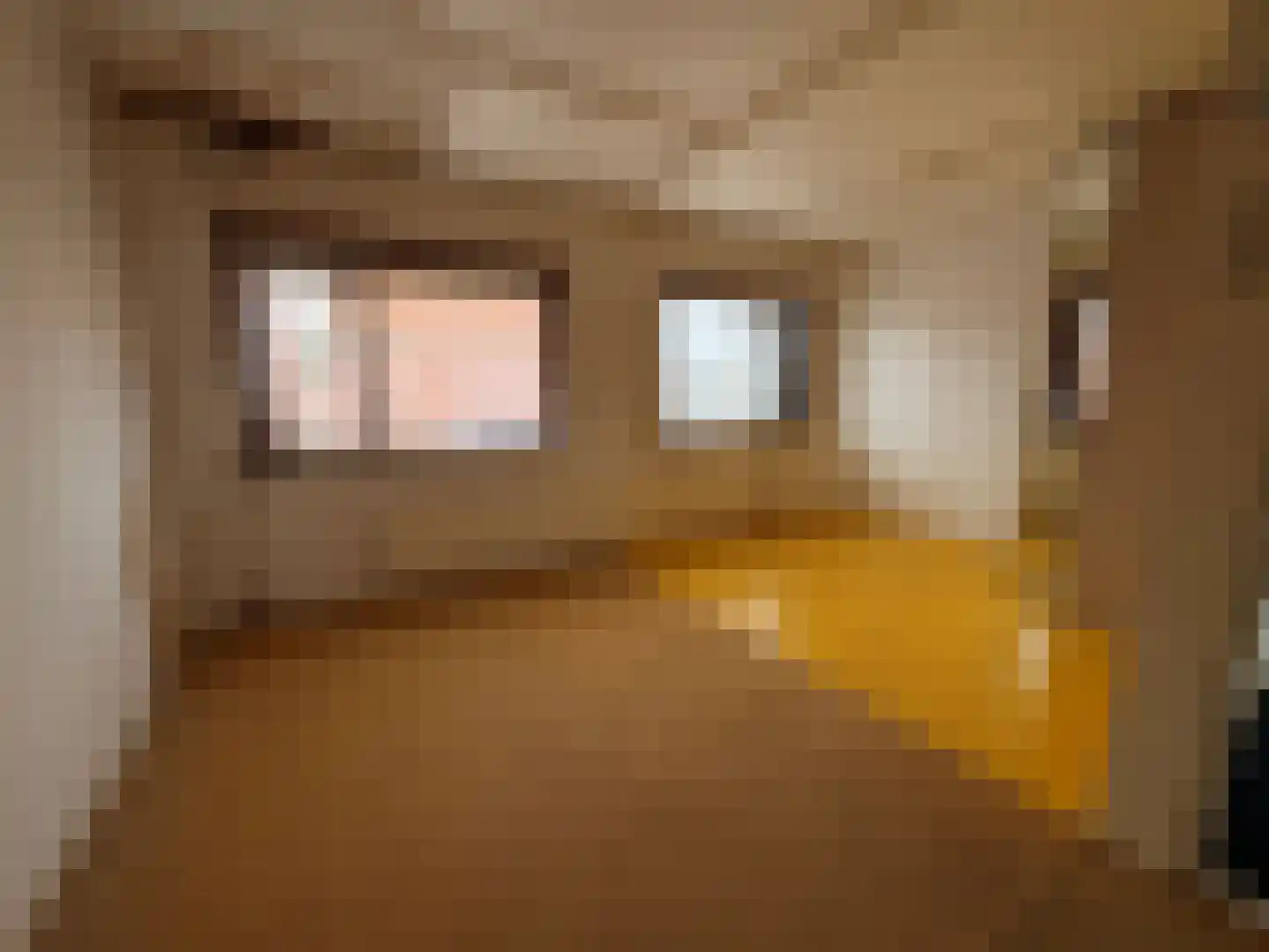 Gentsestraat 3 Biervliet thumbnail 20