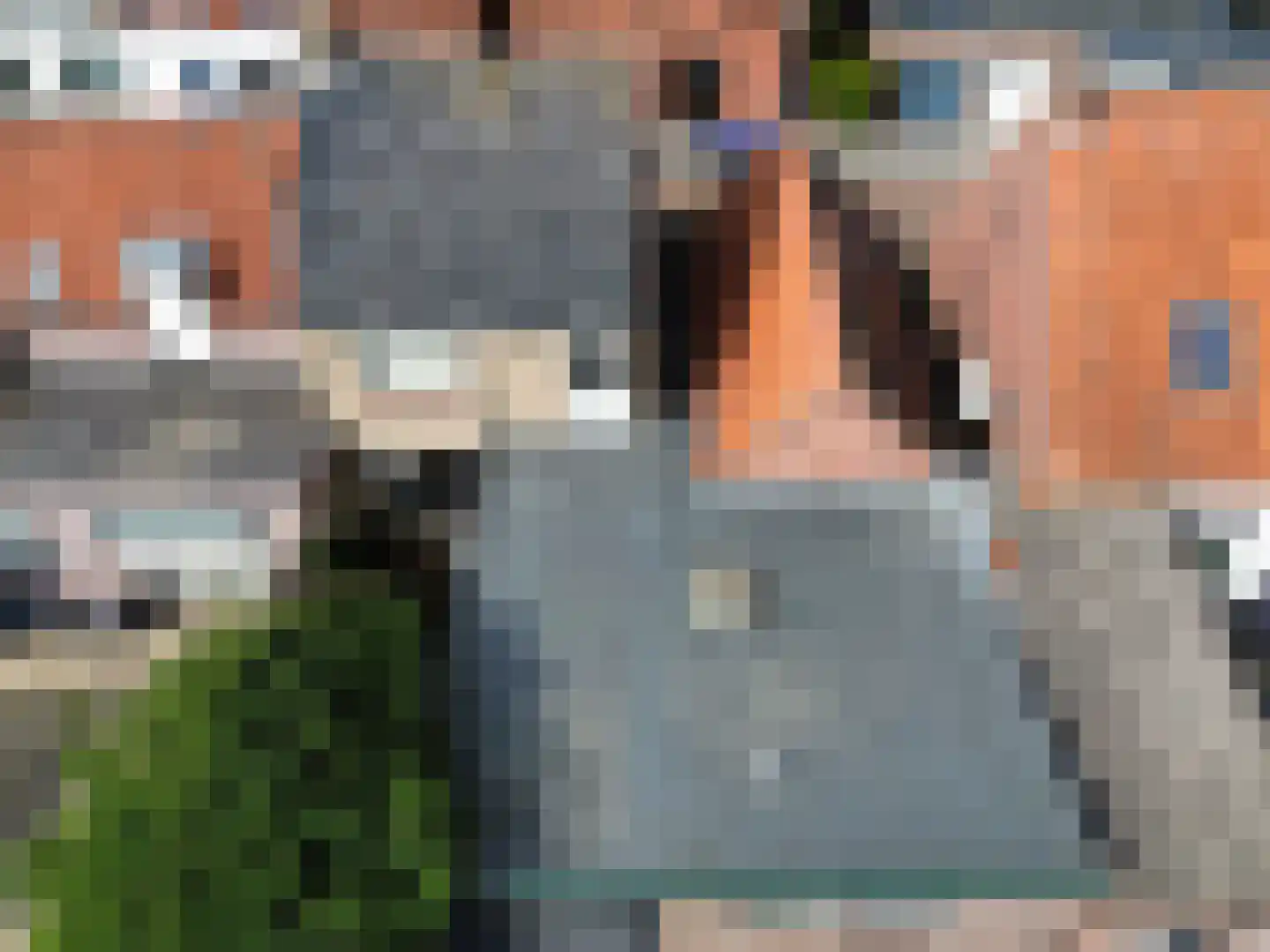Gentsestraat 3 Biervliet thumbnail 23