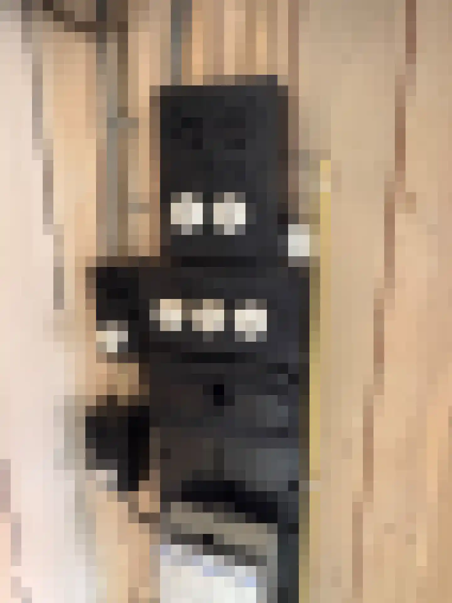 Gentsestraat 3 Biervliet thumbnail 24