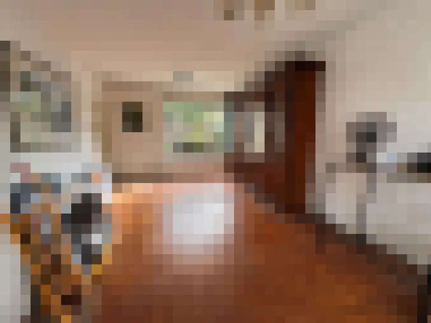 Gentsestraat 3 Biervliet thumbnail 5