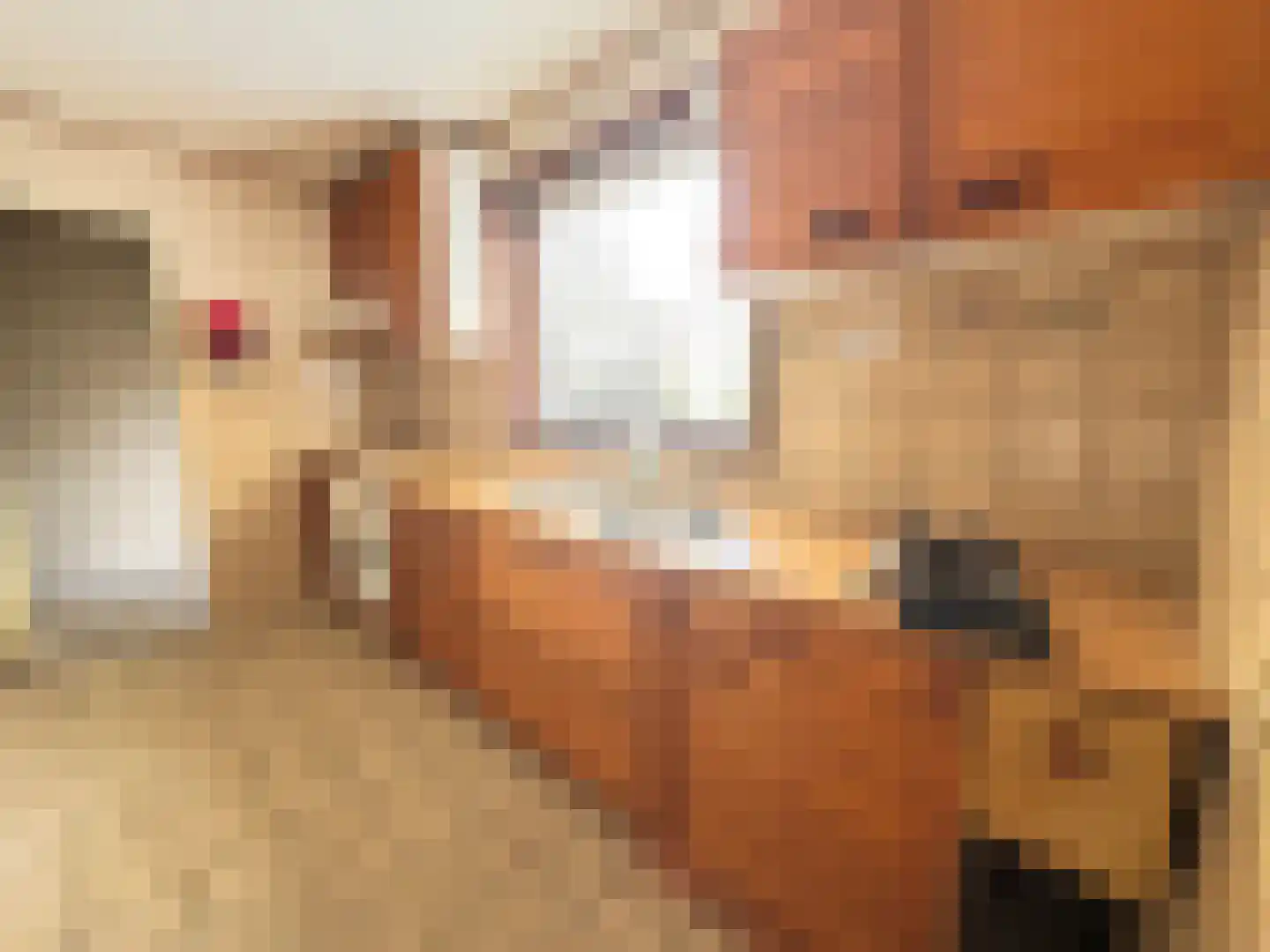Gentsestraat 3 Biervliet thumbnail 7