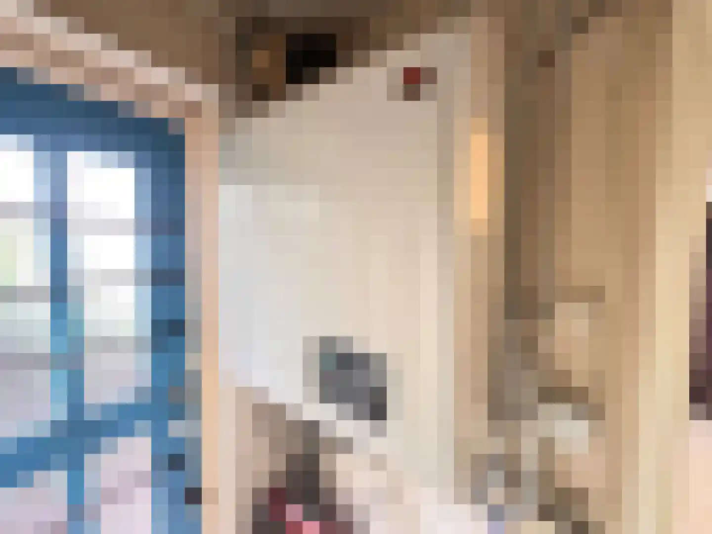 Gentsestraat 3 Biervliet thumbnail 8