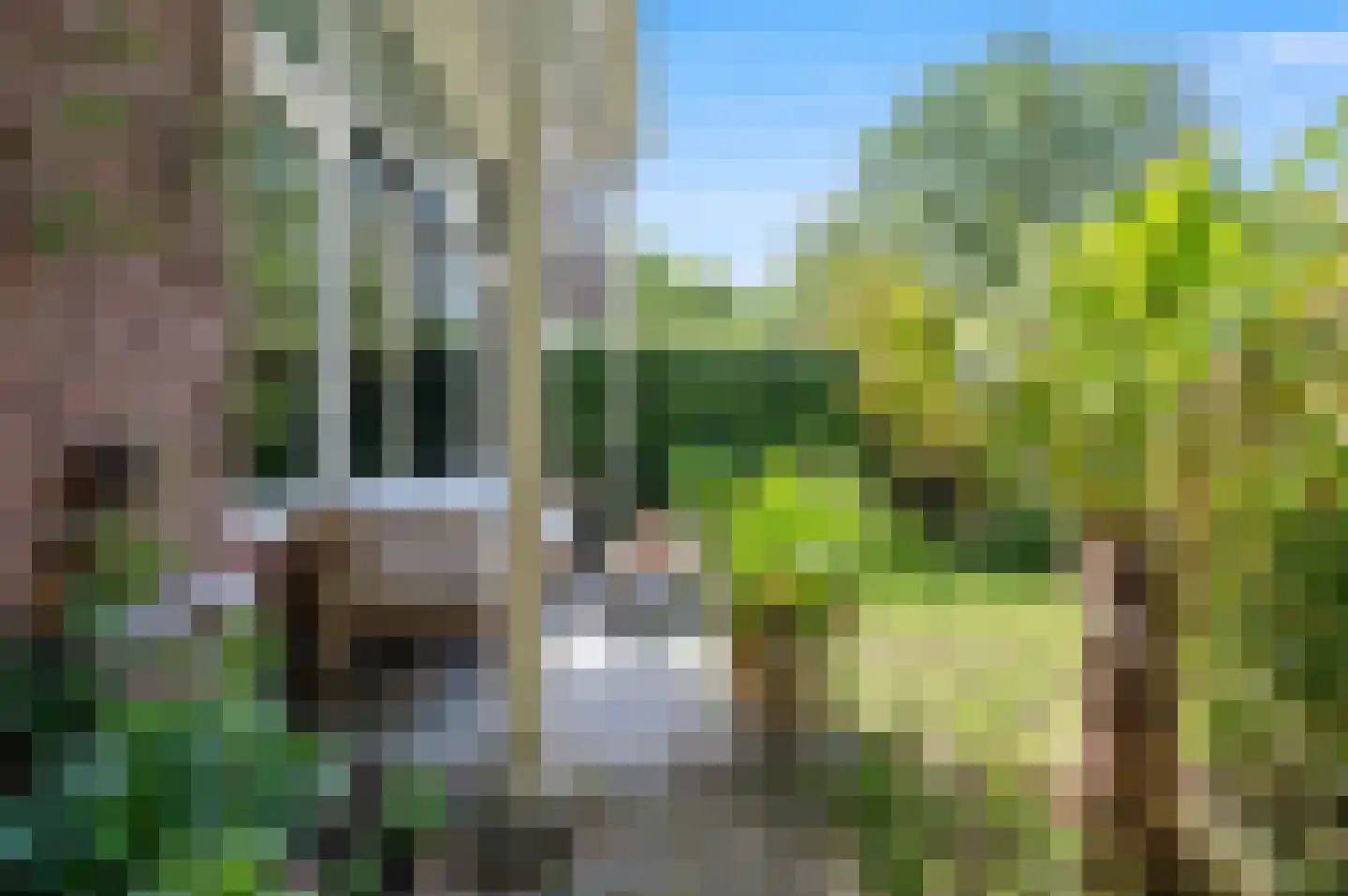 Gentsestraat 66 Den Haag thumbnail 8
