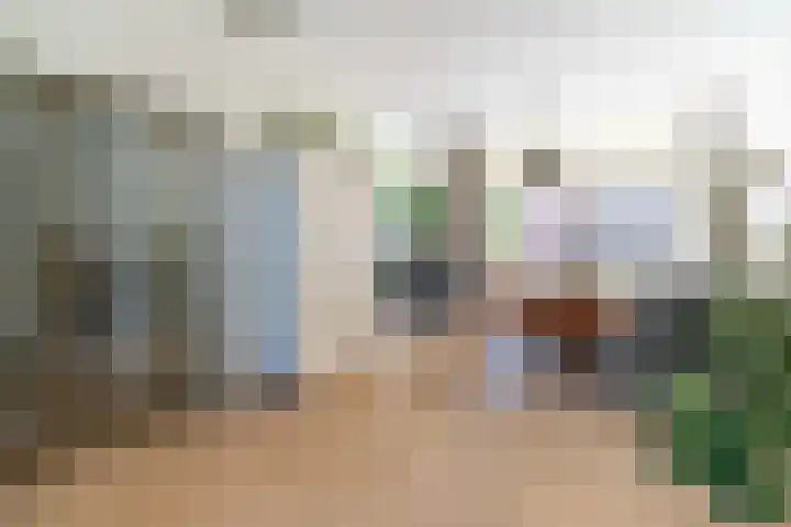 Gentsestraat 77 Den Haag thumbnail 8