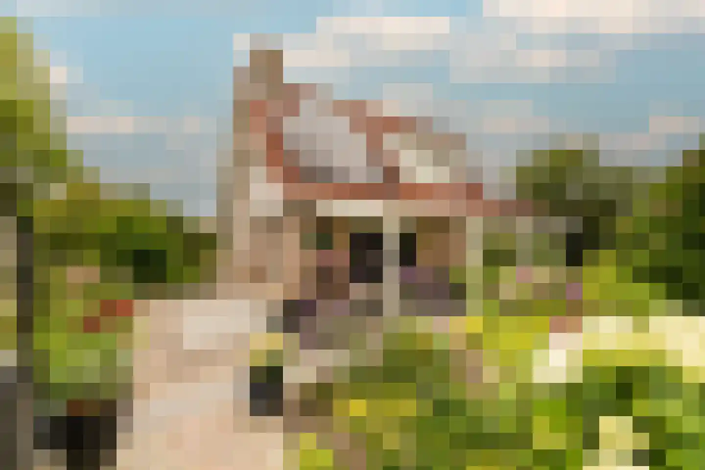 Gentspolder 1 Bergen op Zoom thumbnail 53