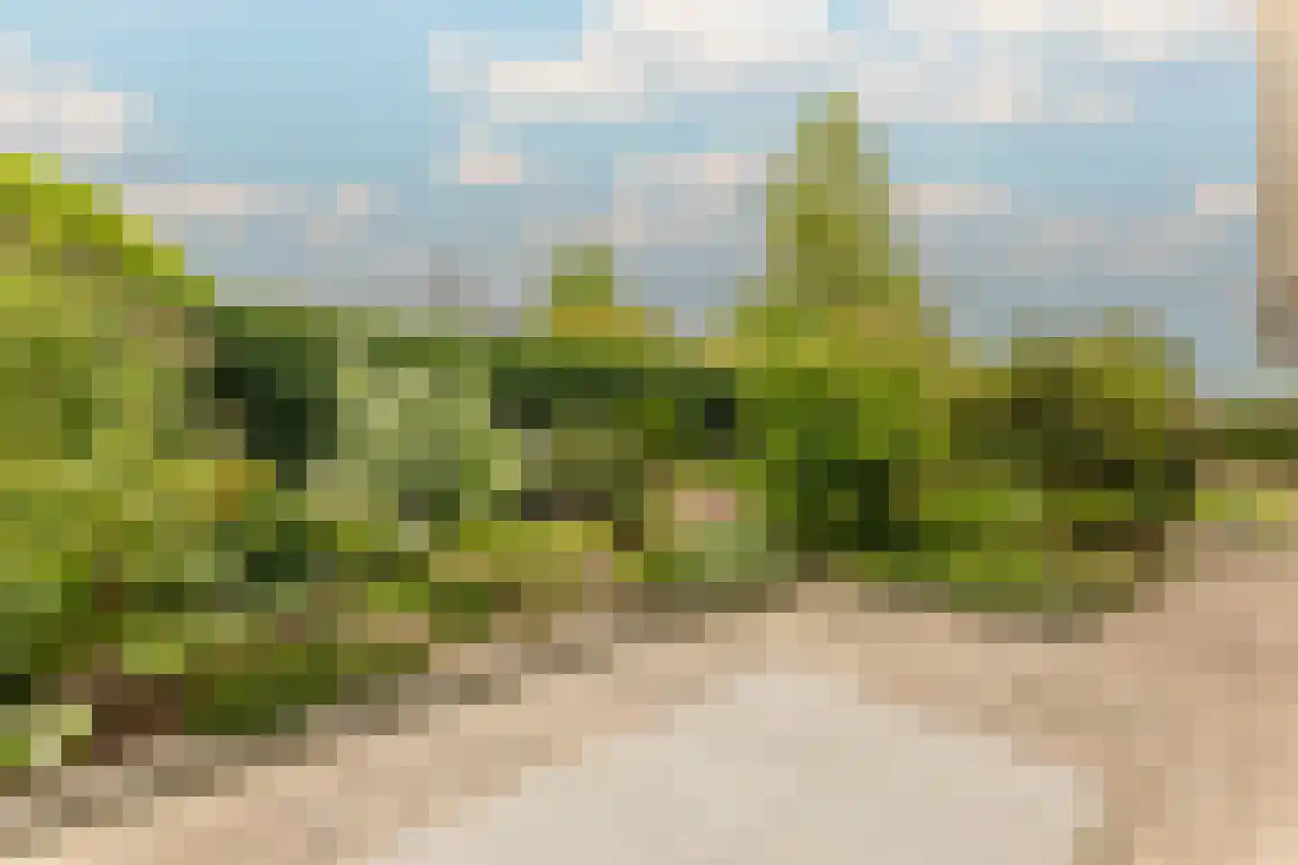 Gentspolder 1 Bergen op Zoom thumbnail 56