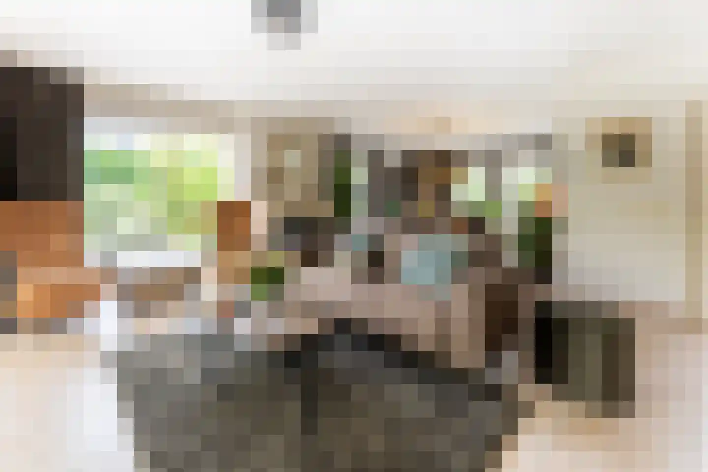 Gentspolder 1 Bergen op Zoom thumbnail 6