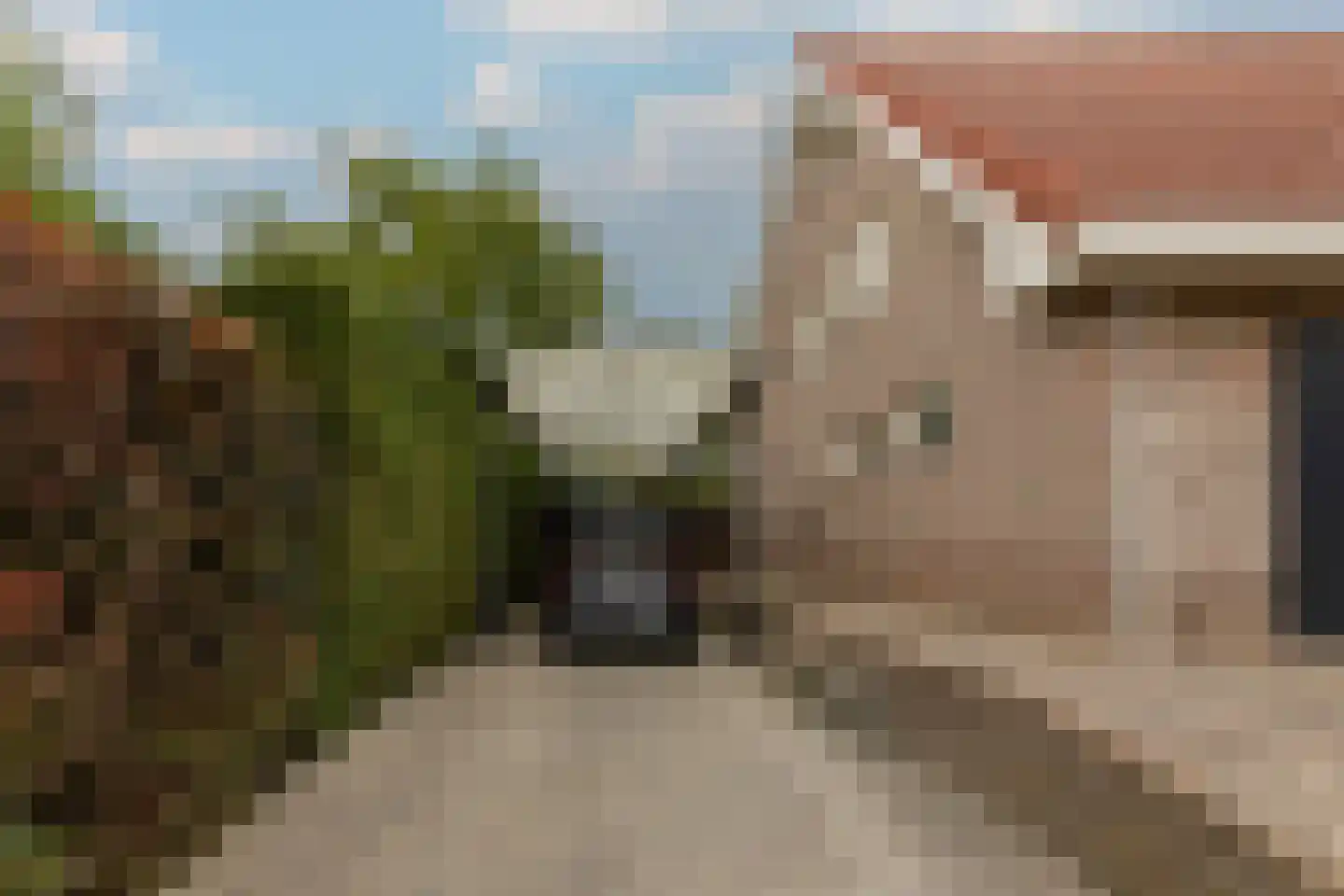 Gentspolder 1 Bergen op Zoom thumbnail 67