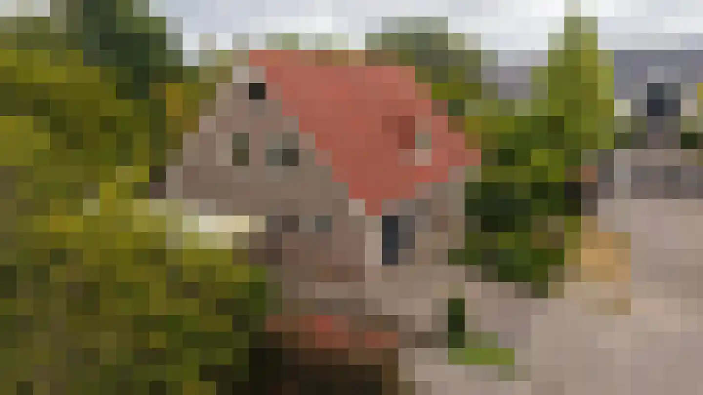 Gentspolder 1 Bergen op Zoom thumbnail 73