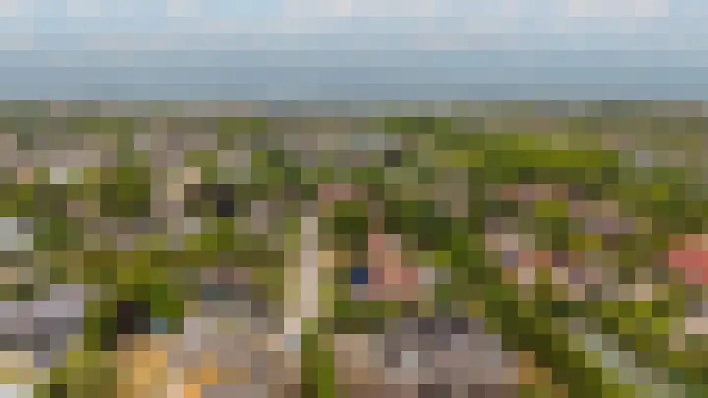 Gentspolder 1 Bergen op Zoom thumbnail 79