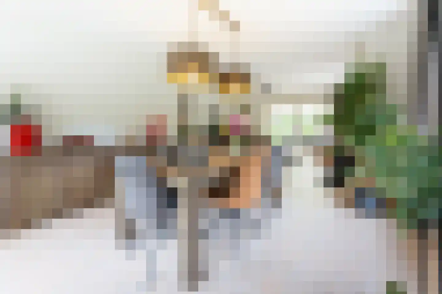 Gentspolder 1 Bergen op Zoom thumbnail 9
