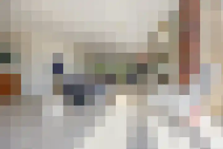Gentspolder 15 Bergen op Zoom thumbnail 24