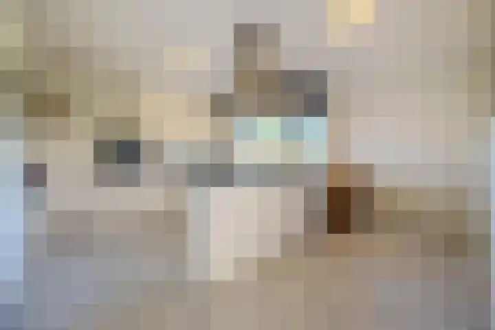 Gentspolder 15 Bergen op Zoom thumbnail 32