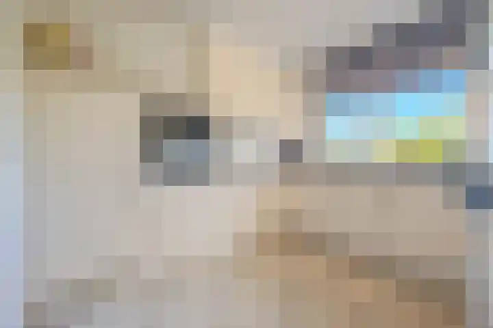 Gentspolder 15 Bergen op Zoom thumbnail 36