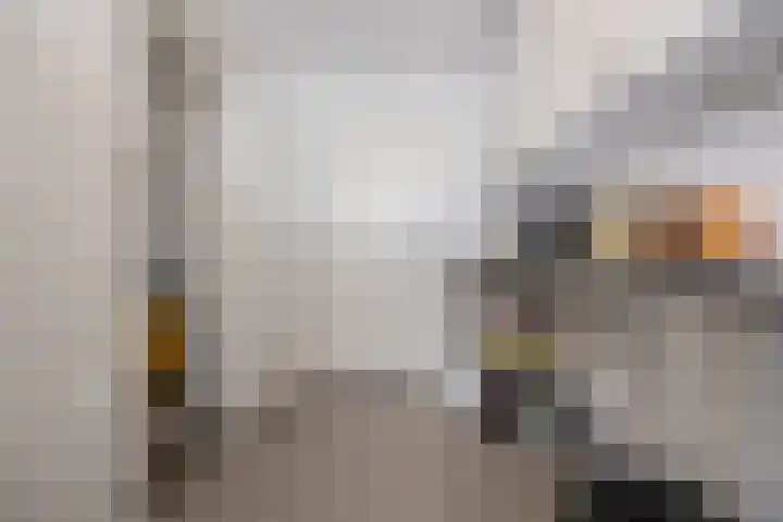 Gentspolder 15 Bergen op Zoom thumbnail 39
