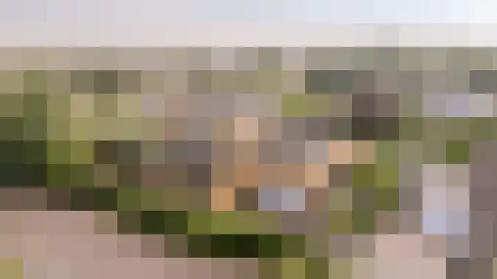 Gentspolder 15 Bergen op Zoom thumbnail 4