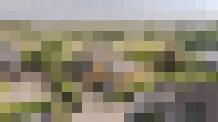 Gentspolder 15 Bergen op Zoom thumbnail 5