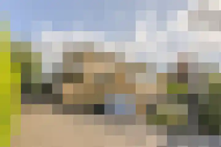 Gentspolder 15 Bergen op Zoom thumbnail 6