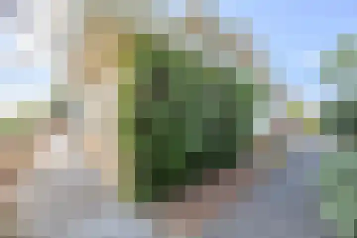 Gentspolder 15 Bergen op Zoom thumbnail 69