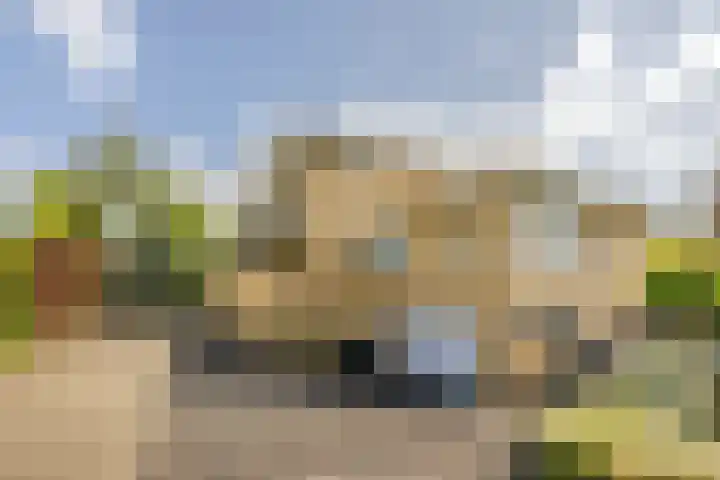 Gentspolder 15 Bergen op Zoom thumbnail 7