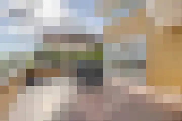 Gentspolder 15 Bergen op Zoom thumbnail 70