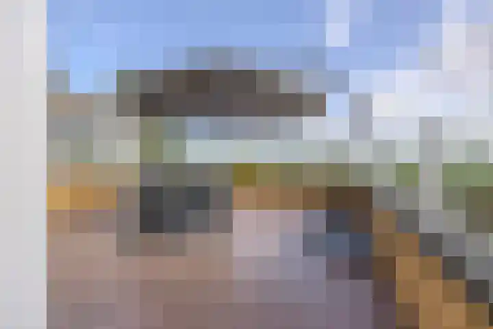 Gentspolder 15 Bergen op Zoom thumbnail 71