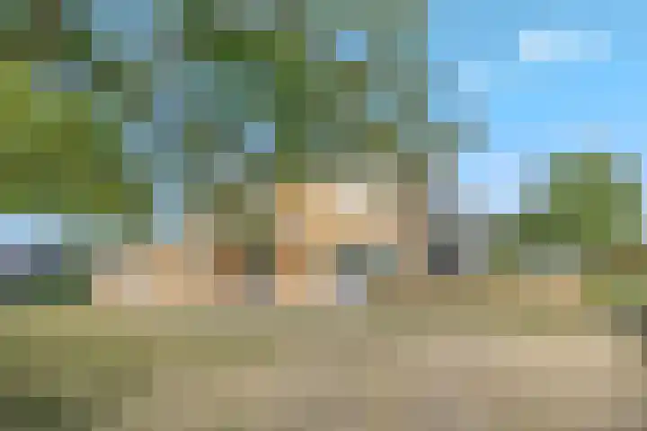 Gentspolder 15 Bergen op Zoom thumbnail 74