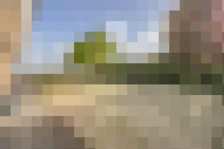 Gentspolder 15 Bergen op Zoom thumbnail 79
