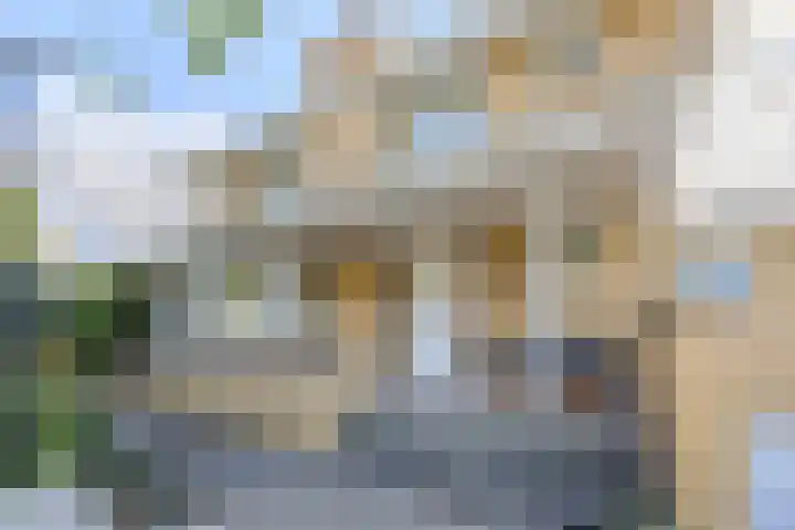 Gentspolder 15 Bergen op Zoom thumbnail 8