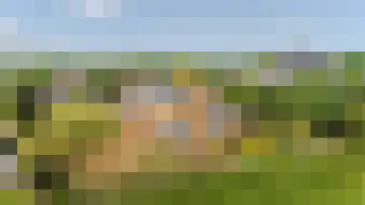 Gentspolder 15 Bergen op Zoom thumbnail 81