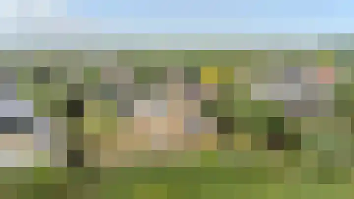 Gentspolder 15 Bergen op Zoom thumbnail 83