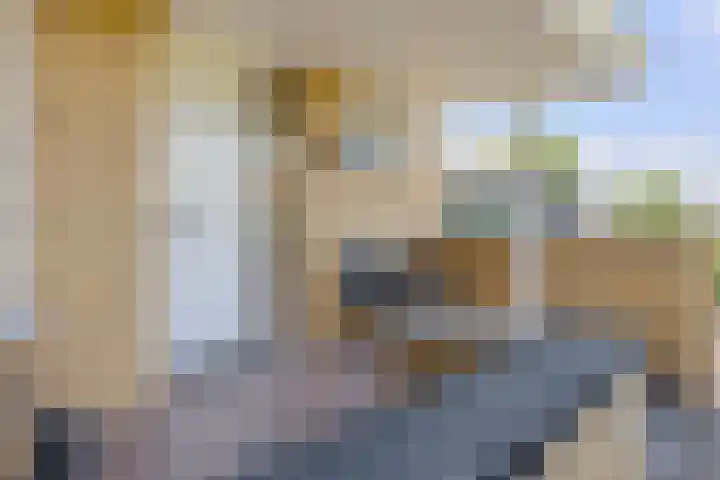 Gentspolder 15 Bergen op Zoom thumbnail 9