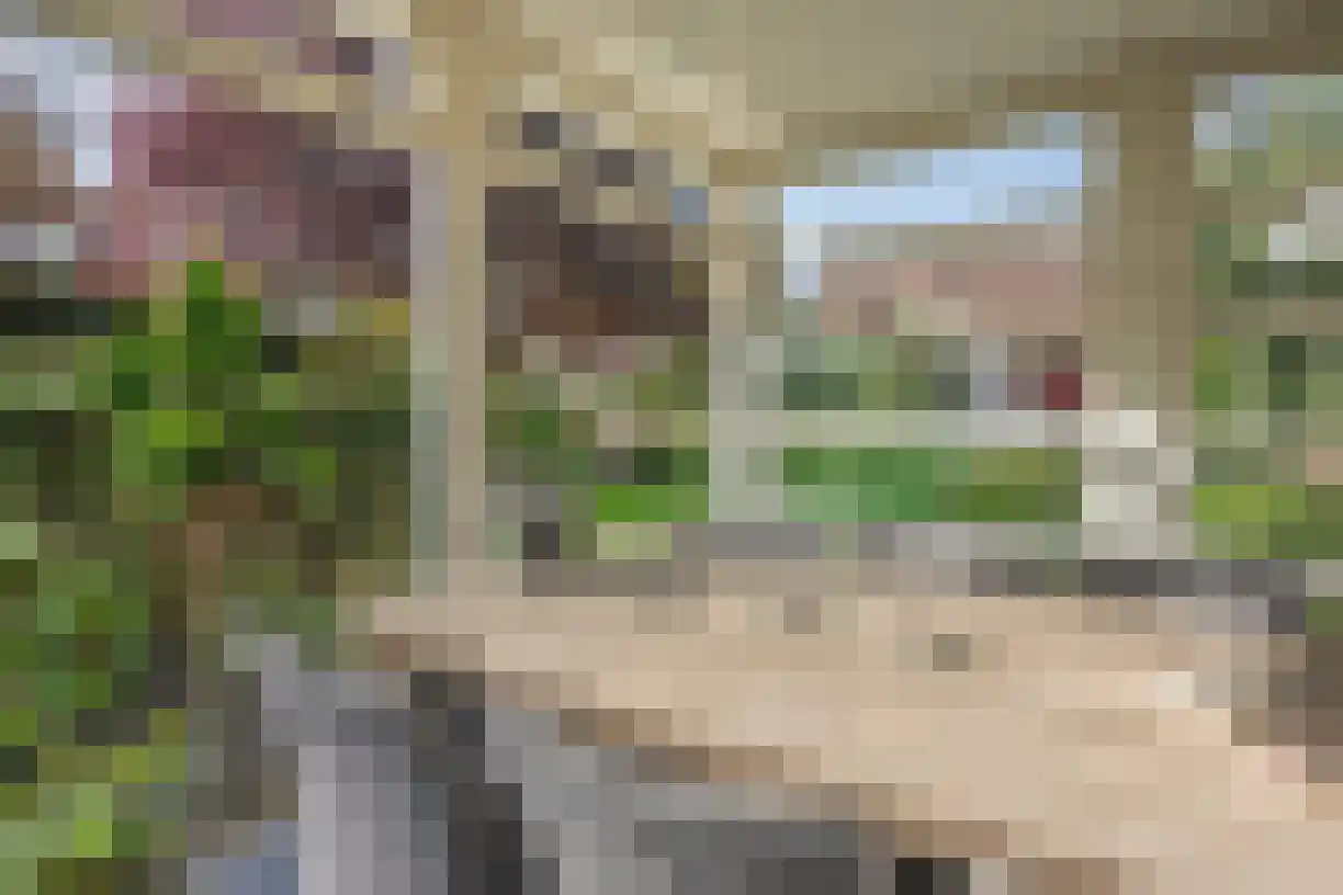 Gentspolder 2 Bergen op Zoom thumbnail 33