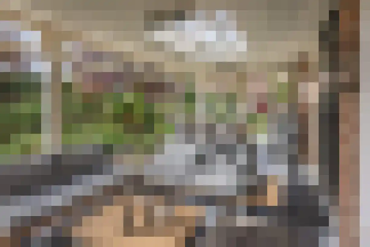 Gentspolder 2 Bergen op Zoom thumbnail 34