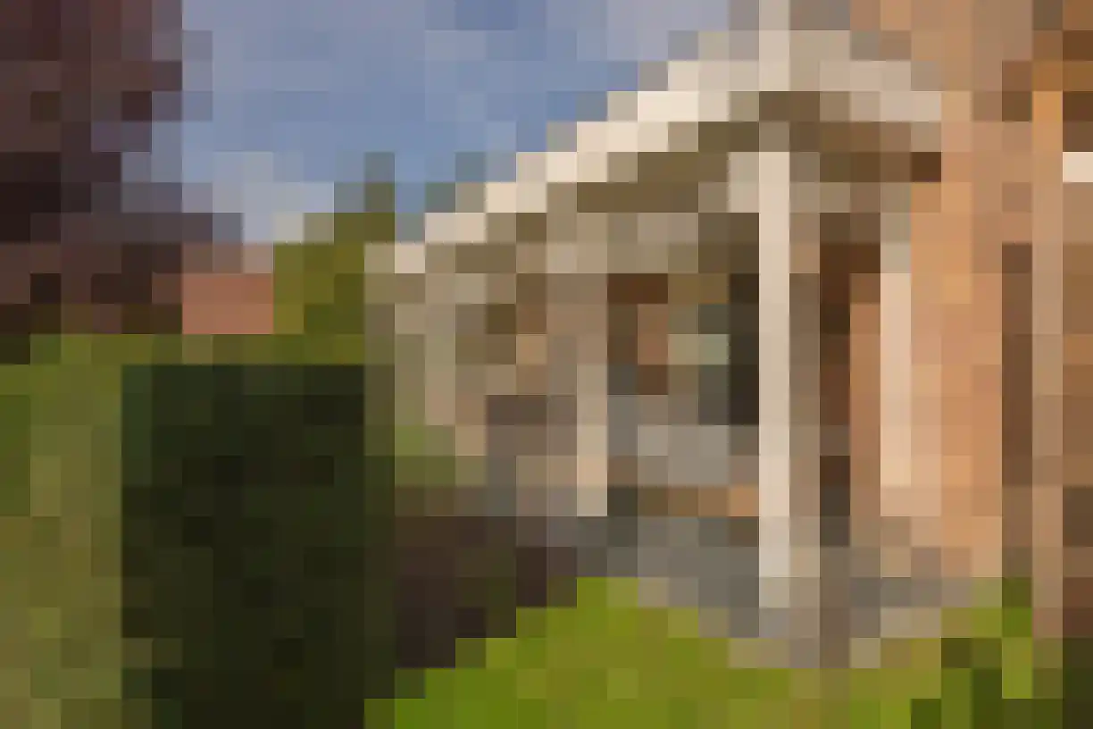 Gentspolder 2 Bergen op Zoom thumbnail 36