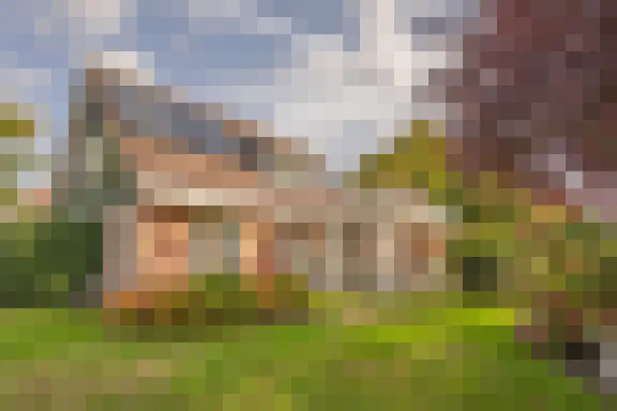 Gentspolder 2 Bergen op Zoom thumbnail 37