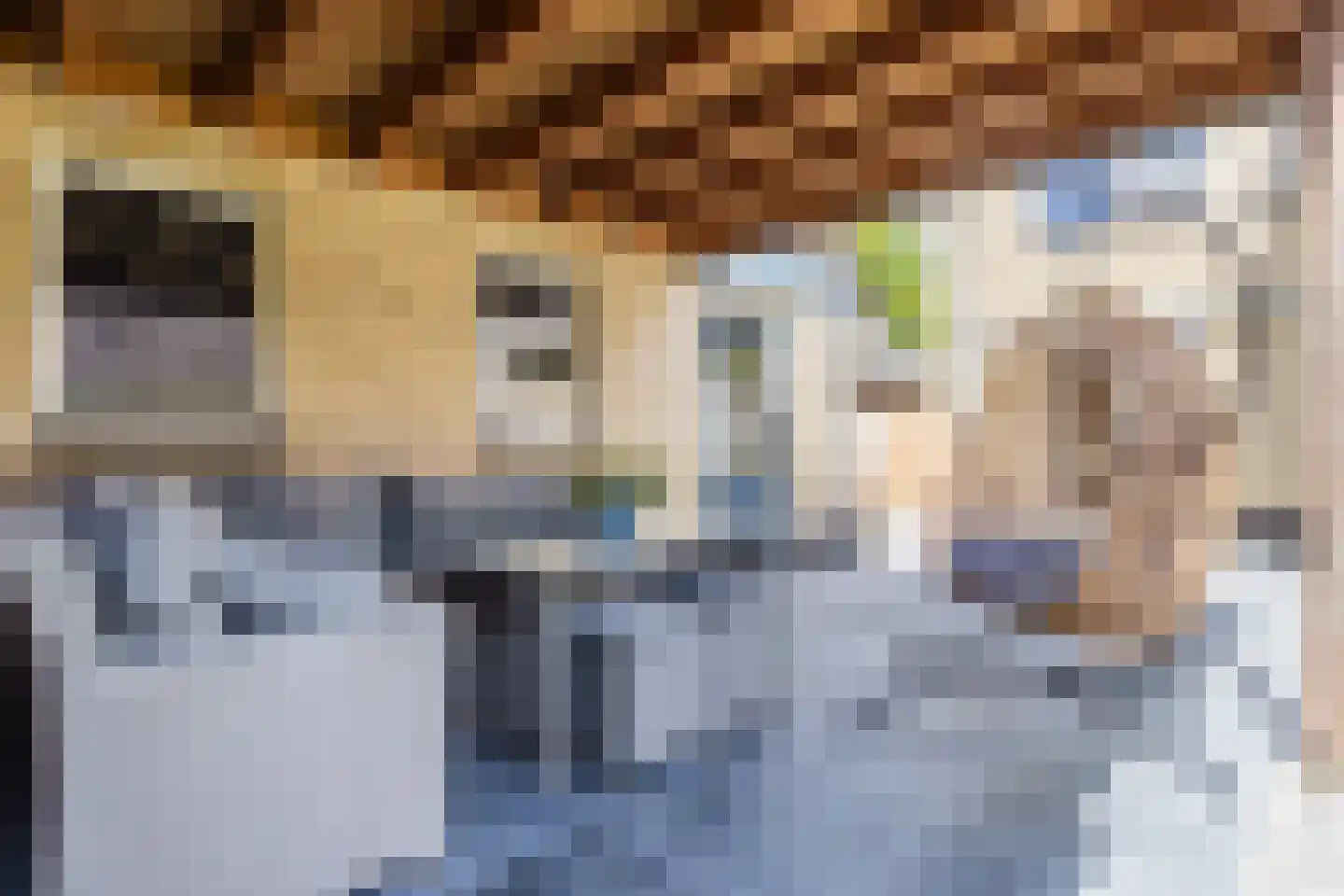 Gentstraat 11 Gassel thumbnail 49