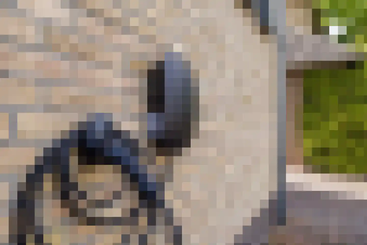 Gentstraat 11 Gassel thumbnail 54
