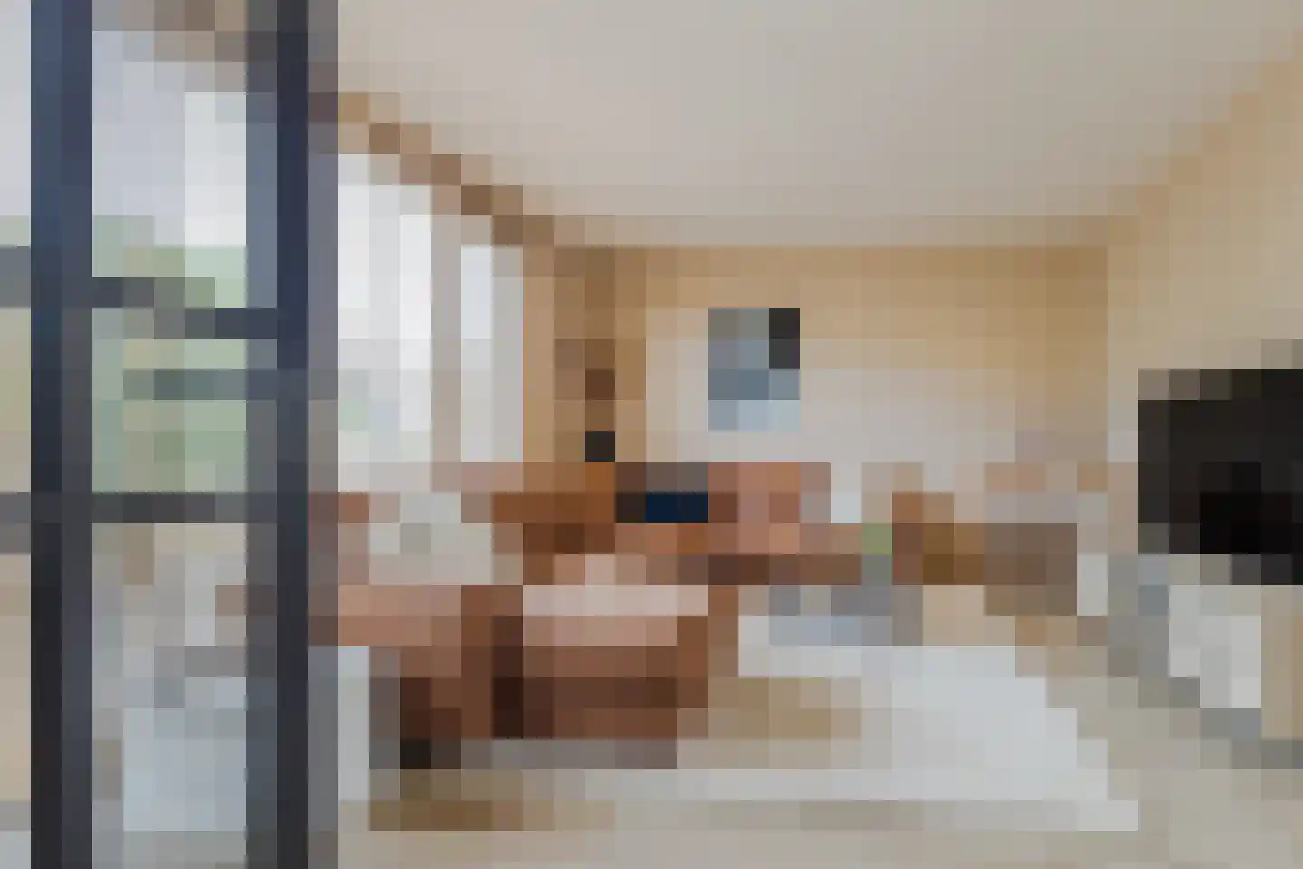 Gentstraat 11 Gassel thumbnail 8