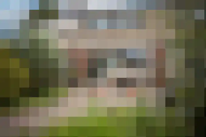Gentstraat 22 's-Hertogenbosch thumbnail 21