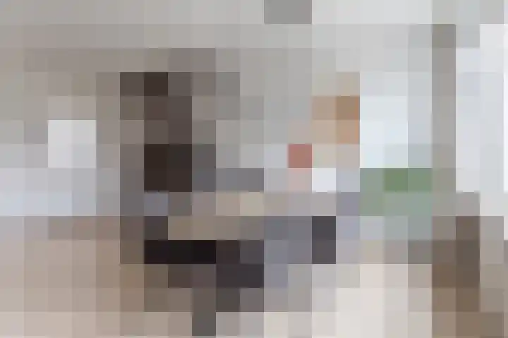 Gentstraat 22 's-Hertogenbosch thumbnail 8