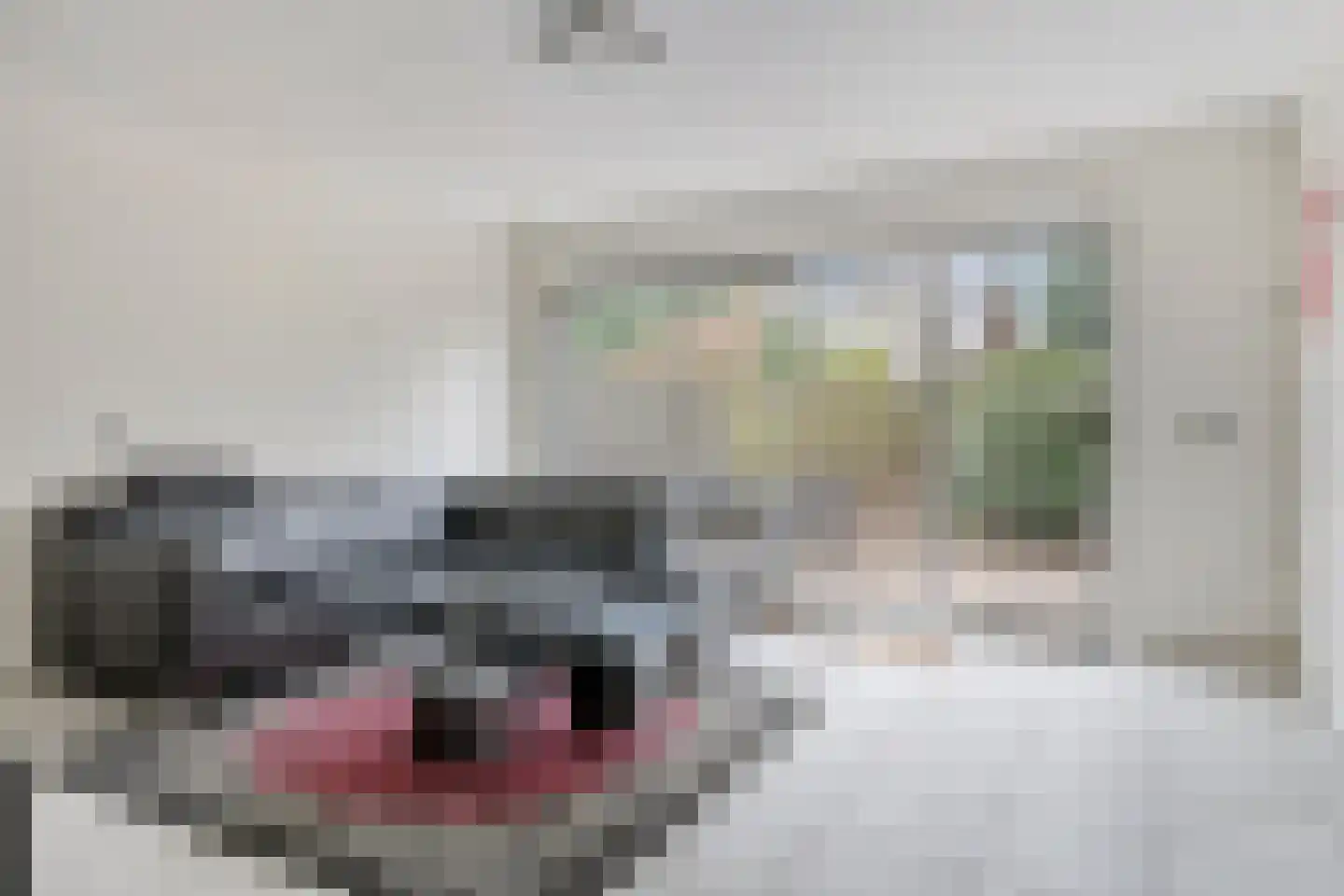 Genualaan 23 's-Hertogenbosch thumbnail 12