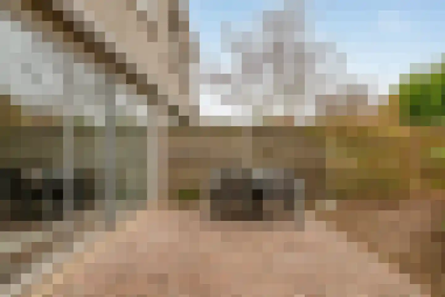 Genualaan 23 's-Hertogenbosch thumbnail 14