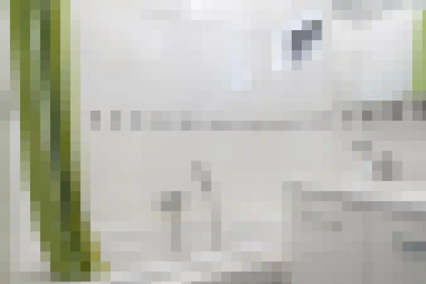 Genualaan 23 's-Hertogenbosch thumbnail 43