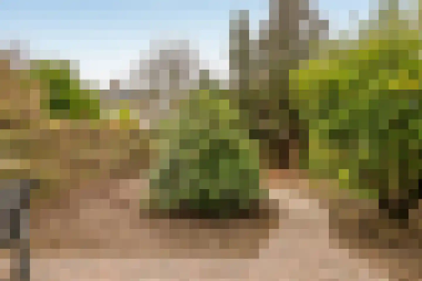 Genualaan 23 's-Hertogenbosch thumbnail 5
