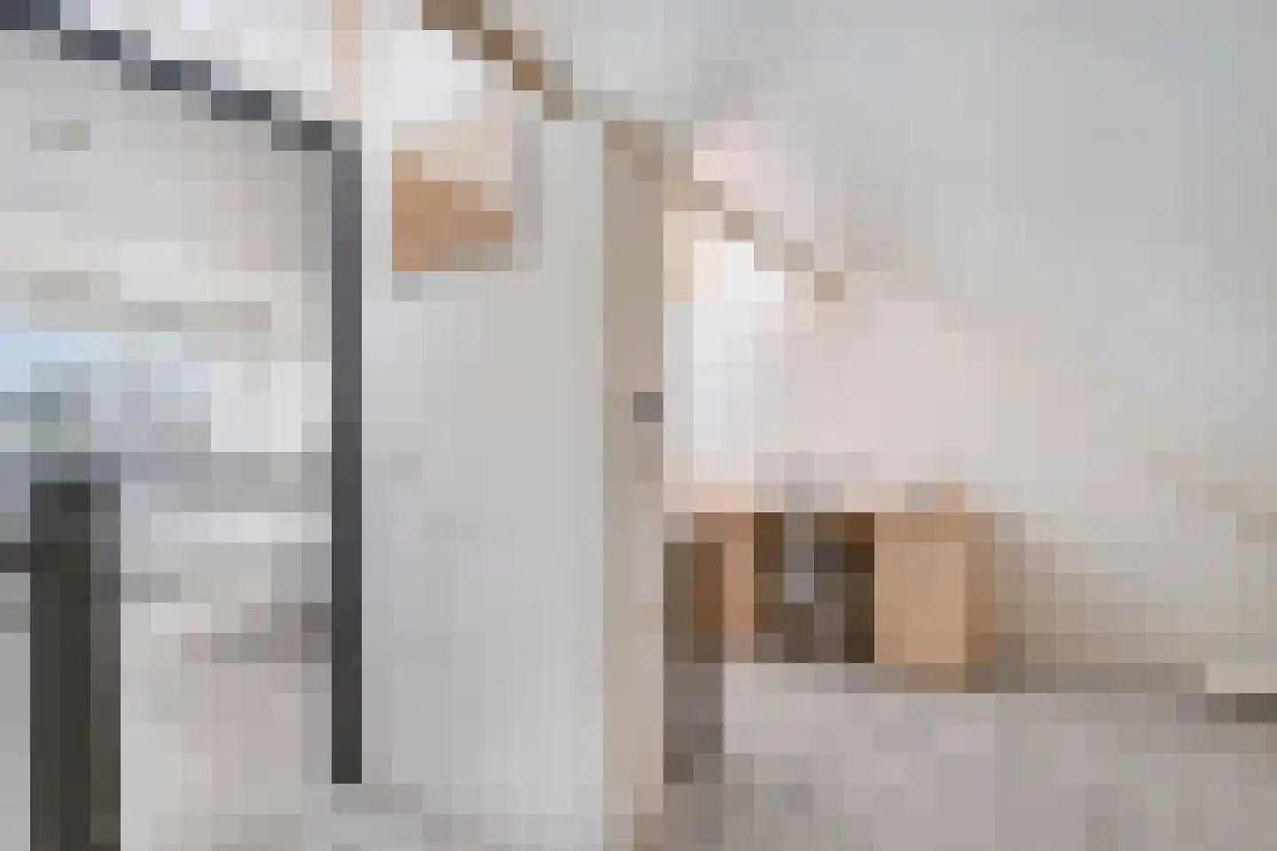 Genualaan 23 's-Hertogenbosch thumbnail 51